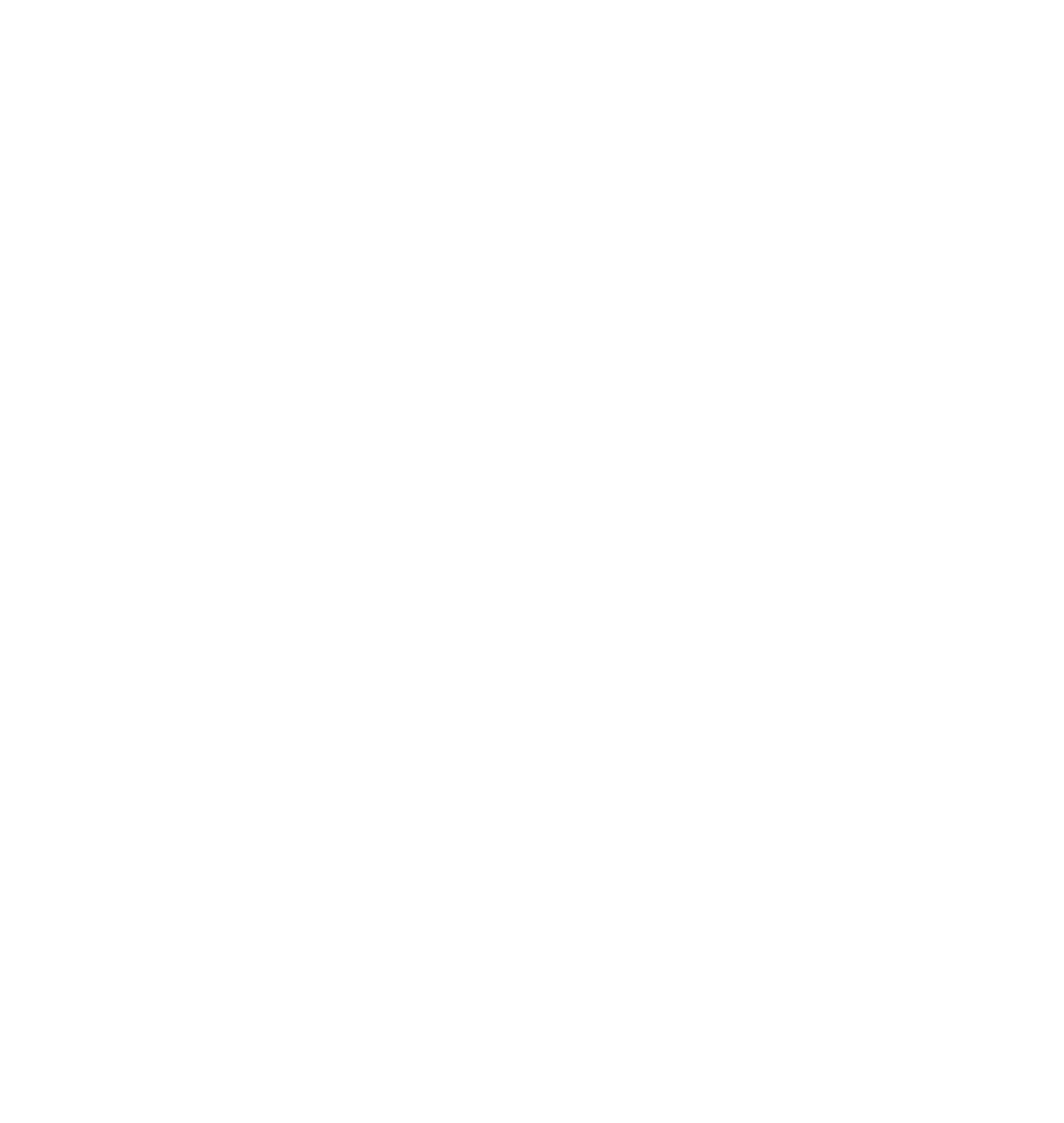 nbn logo